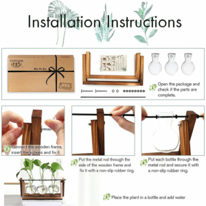 Plant Terrarium