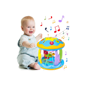 Baby Toys 6 to 12 Months