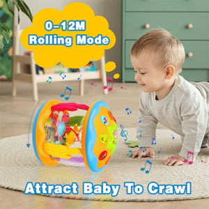 Baby Toys 6 to 12 Months