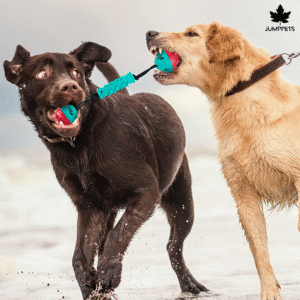 JUMPPETS Detachable Chew